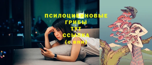 меф Алексин