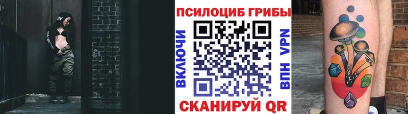 кракен зеркало  Искитим  Псилоцибиновые грибы мухоморы 