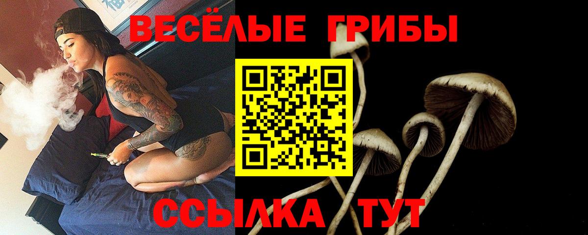 Галлюциногенные грибы мицелий  Вход с VPN  Искитим 
